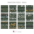 prezentacja_pedzle_bokeh-all.jpg
