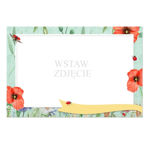 36-ramka poziom-biedronki.jpg