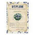 2a_Dyplom_pion_blue_Babcia i dziadek.jpg