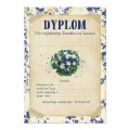 2a_Dyplom_pion_blue_Babcia i dziadek-wnuk_czka.jpg
