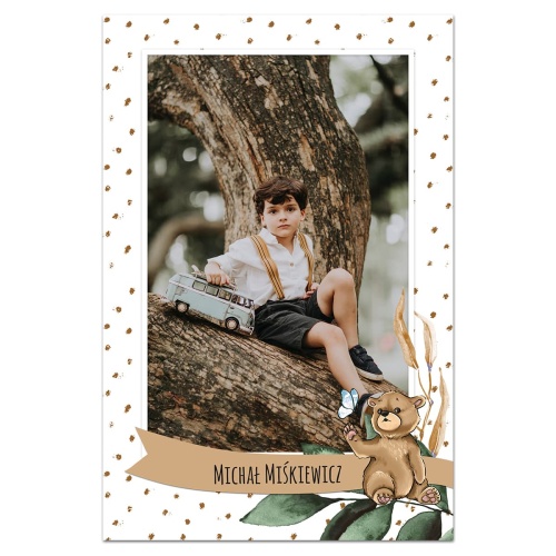 90 MIŚ_ramka_PION f.jpg