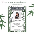 87_Dyplom_Panda_20x30.jpg