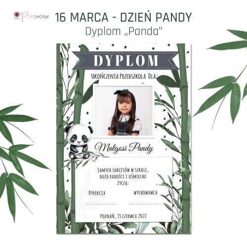 87_Dyplom_Panda_20x30.jpg