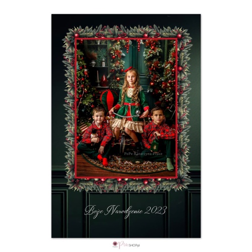 230_Xmas_darkgreen_pion_1_20x30_foto.jpg