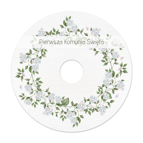 24-płyta-CD-szablon.jpg